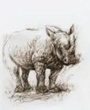 Diane Victor, Rhino