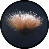Rowan Smith, Challenger II, acrylic on board
