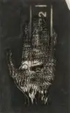 Lyndi Sales, Fortunes and Fortunes (Life Raft Material, Black)