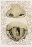 Steven Cohen, Nose and Mouth, screenprint in colours on fabric