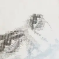 Face by Pierre Fouché, block mounted photolithograph, offered Jul 2016