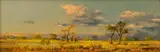 Otto Klar, Savannah and Clouds, oil on board