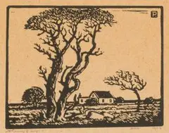 Jacobus Hendrik Pierneef, Amatako, S.W.A. (Nilant 107), linocut