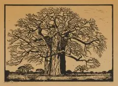 Jacobus Hendrik Pierneef, Kremetartboom (Nilant 73), linocut