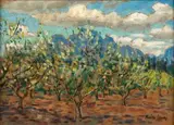 Neville Lewis, Orchard, Cloetesdal, Stellenbosch