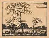 Doringboom In Veldlandskap (Nilant 92) by Jacobus Hendrik Pierneef, linocut, sold Jul 2016