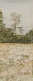 Adolph Jentsch, SouthWest Africa
