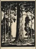 Bloekombome (Nilant 76) by Jacobus Hendrik Pierneef, linocut, sold Jul 2016