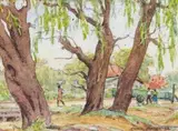 Erich Mayer, Wilgerbome in Ficksburg
