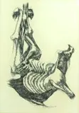 Ezrom Legae, Carcass, charcoal