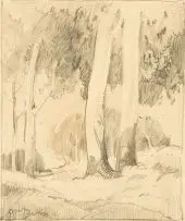Tree Study by Walter Battiss, pencil on paper, sold Apr 2016