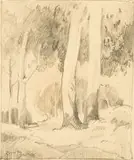 Tree Study by Walter Battiss, pencil on paper, sold Apr 2016