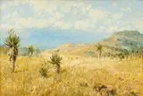 Alan Wolton, Landscape with Aloes, oil on board