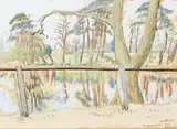 Enslin Du Plessis, Gosfield Park and Lake, Essex