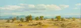 Bushveld by Otto Klar, oil on board, sold Apr 2016