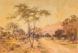 Erich Mayer, Bushveld Roadway
