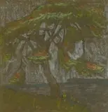 Clément Sénèque, Flamboyant Tree