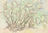 Gregoire Boonzaier, Melkhoutbome, chalk pastel
