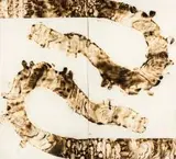 Sandile Zulu, Camouflage, fire, water, air and earth on canvas