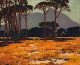 Robert Gwelo Goodman, View of Devil's Peak