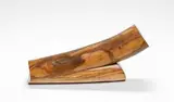 Willem Boshoff, Blind Fish IV
