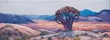 Quiver Tree by Piet van Heerden, oil on canvas laid down on board, sold Nov 2015