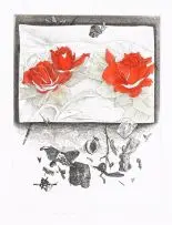 Colin Richards, A taste of my own medicine, hand coloured etching