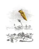 Colin Richards, The Only Good Flower, hand coloured etching