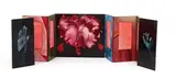 Judith Mason, How to Make a Print, nine concertinaed panels