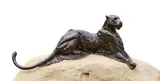 Dylan Lewis, Leopard Sitting on Haunches