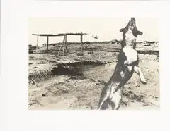 Jo Ratcliffe, Nadir 6, screen printed photographic lithograph