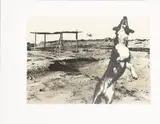 Jo Ratcliffe, Nadir 6, screen printed photographic lithograph