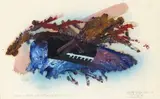 Musical Bird by Christo Coetzee, mixed media on paper, sold Apr 2015
