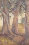 Allerley Glossop, Red Gums, oil on board