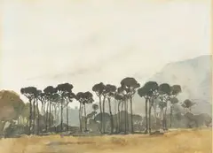 Frank Spears, Stone Pines, Cape Town, watercolour