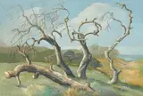 Willem Hermanus Coetzer, Dead Trees