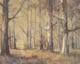 Mel Brigg, Blue Gum Forest