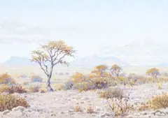 Johannes Blatt, Namibian Landscape I, gouache