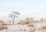 Johannes Blatt, Namibian Landscape I