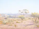 Johannes Blatt, Namibian Landscape II