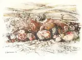 Ulrich Schwanecke, Desert Boulders