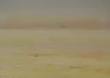 Walter Westbrook, Namib - Near Luderitz 2
