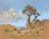 Conrad Theys, Kokerbome