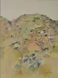 Nico Roos, Mountain