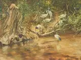 Heinrich von Michaelis, River Birds, oil on board