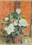 Robert Broadley, Still Life of Azalias in a Pot