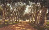 Tinus de Jongh, Avenue of Blue Gums, Cape, oil on canvas