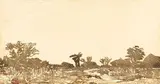 Adolph Jentsch, South West Africa
