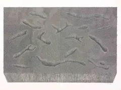 Walter Oltmann, Untitled, pencil