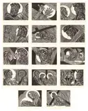 Stations of the Cross, 14 individually framed prints by Cecil Skotnes, woodcuts, sold Jun 2015
